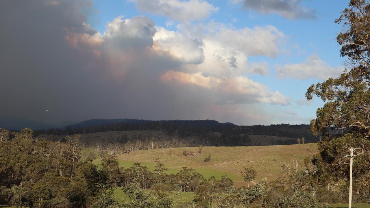 The bushfire near Nugent 