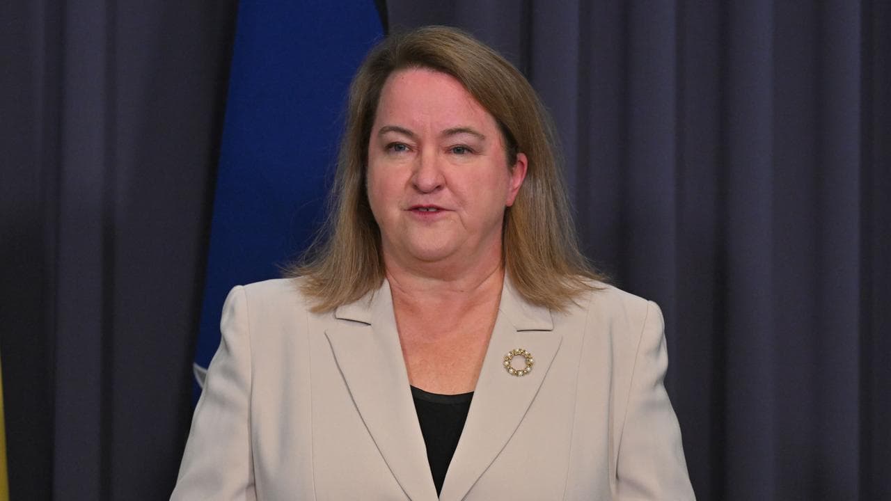 Workplace Gender Equality Agency CEO Mary Wooldridge (file image)
