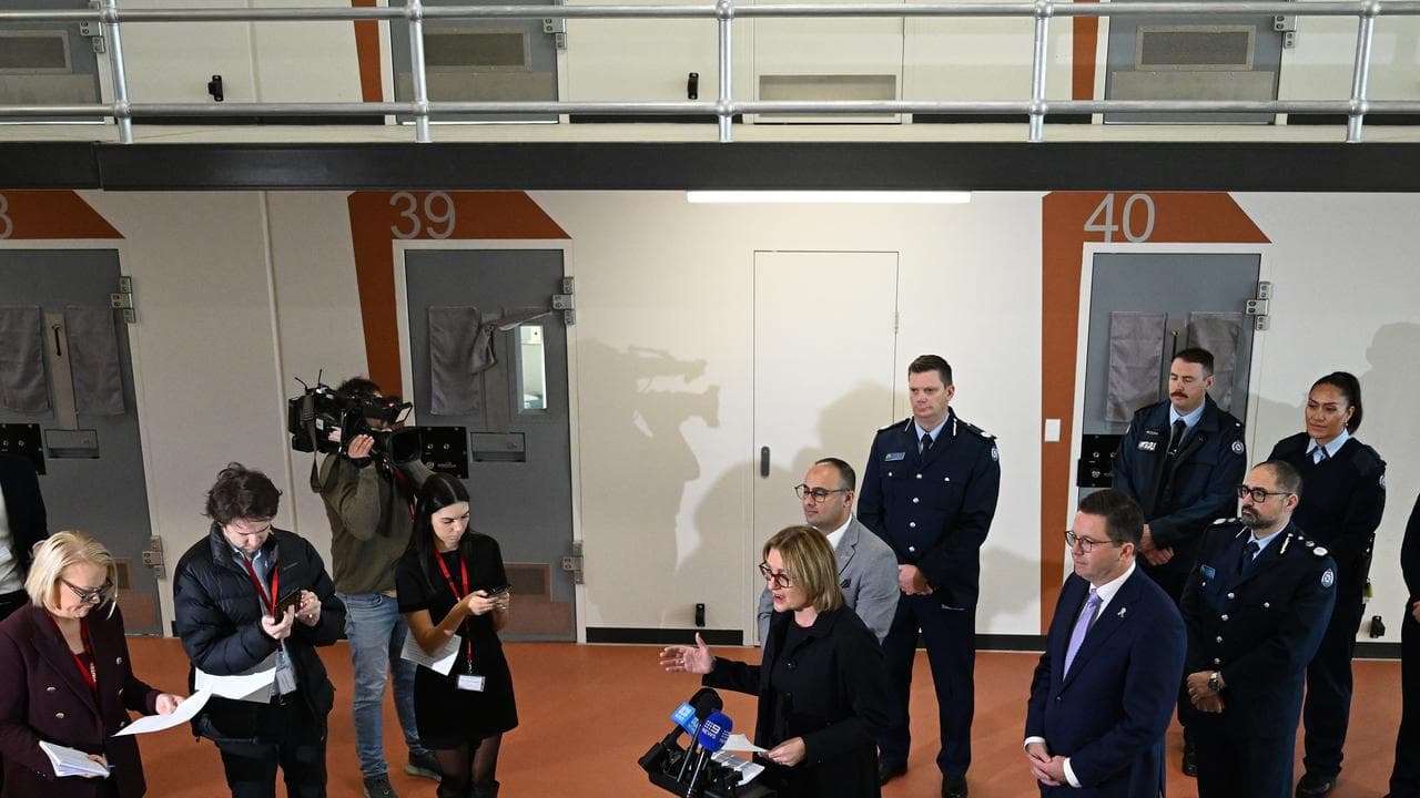 Premier Jacinta Allan and Minister for Police Anthony Carbines
