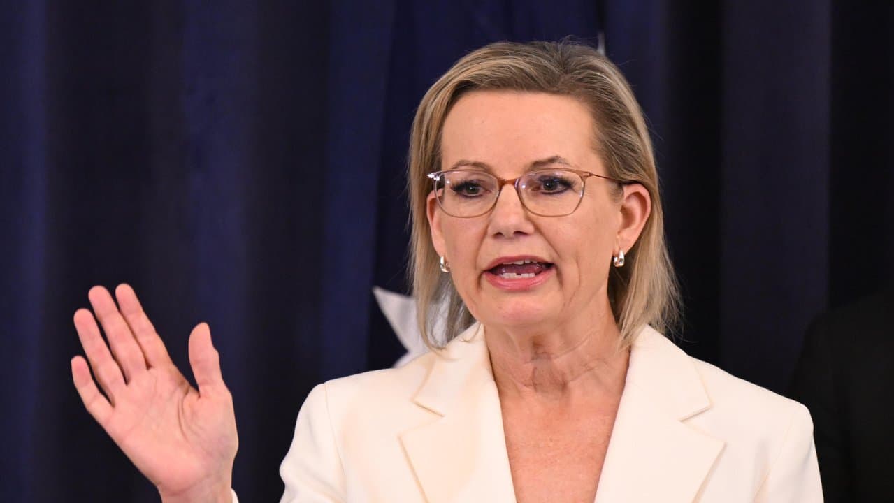 Opposition Leader Sussan Ley speaks to the media