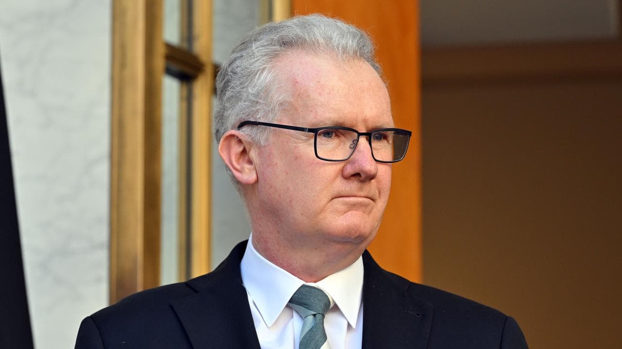 Home Affairs Minister Tony Burke (file image)