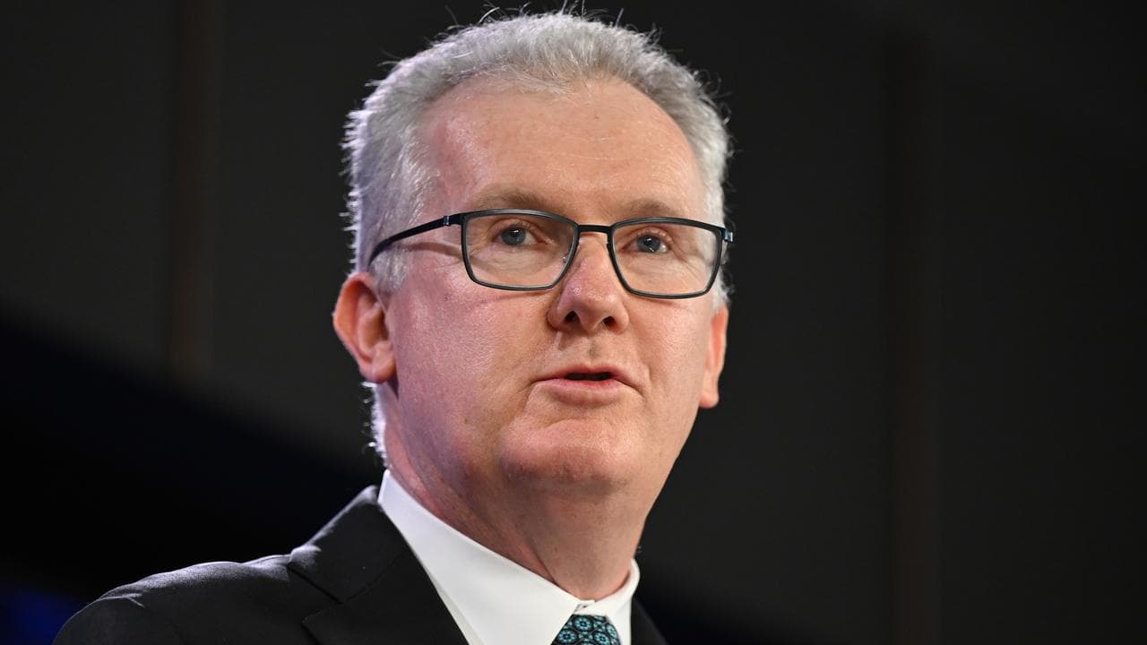 Home Affairs Minister Tony Burke