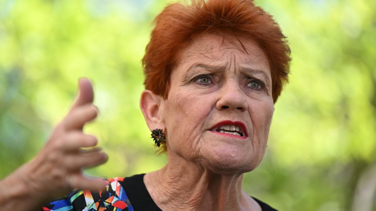 Hanson defiant after Senate ban for 'despicable' stunt