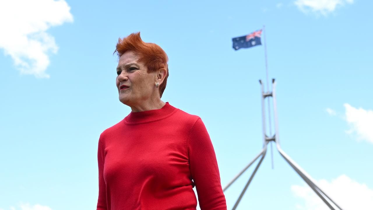 One Nation senator Pauline Hanson