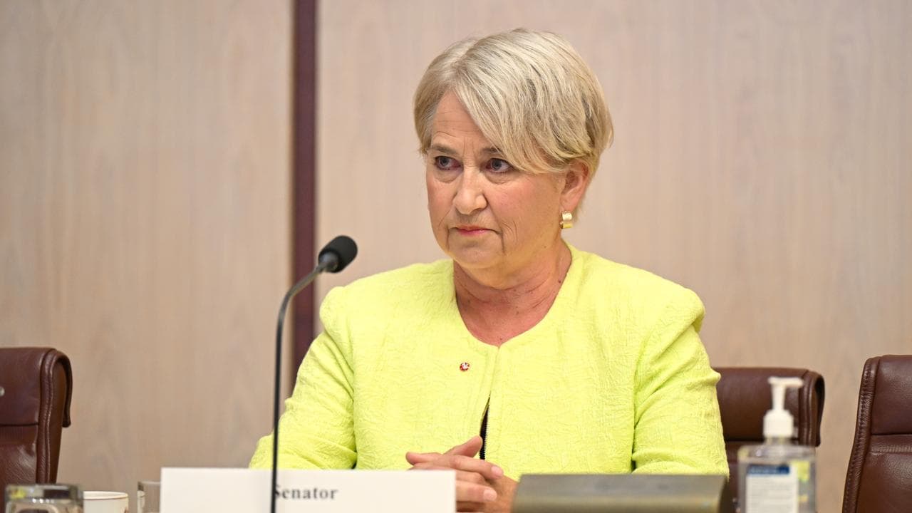 Greens senator Barbara Pocock (file image)