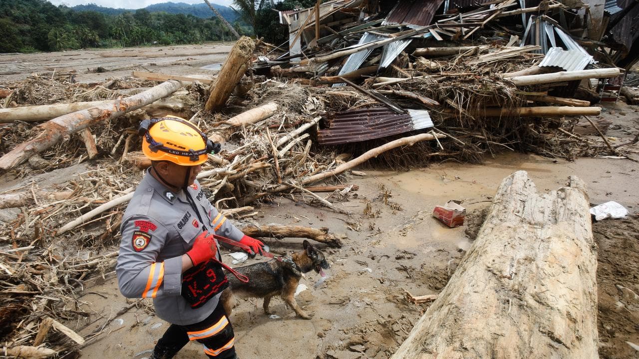 A rescuer leads a sniffer dog in Batang Toru, North Sumatra