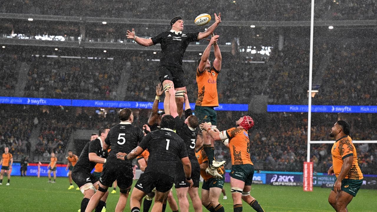 Wallabies and All Blacks.