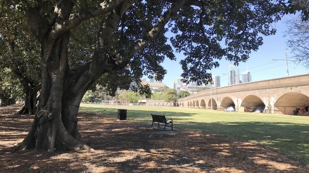 Wentworth Park in Glebe (file image)