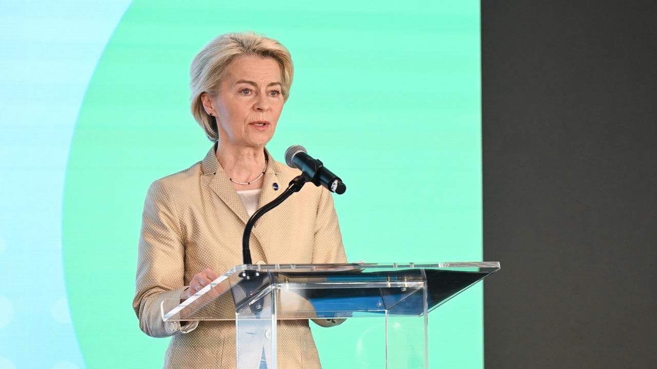 European Commission president Ursula von der Leyen (file image)