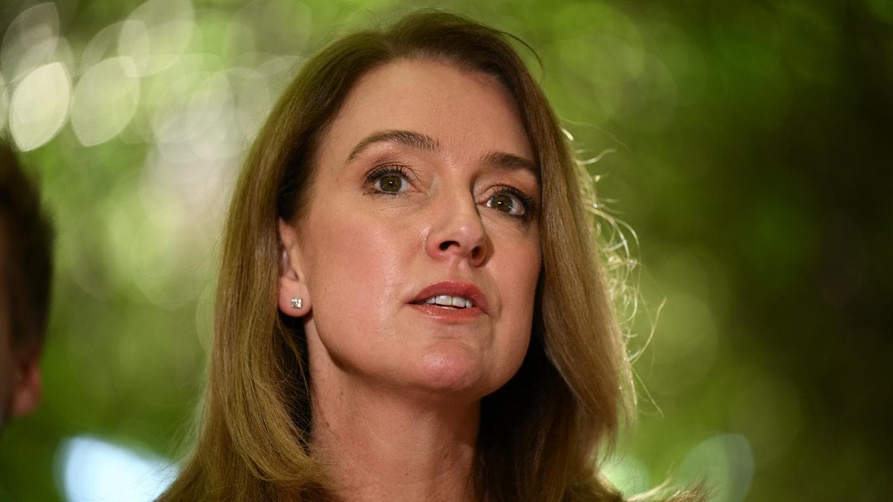 NSW Opposition Leader Kellie Sloane