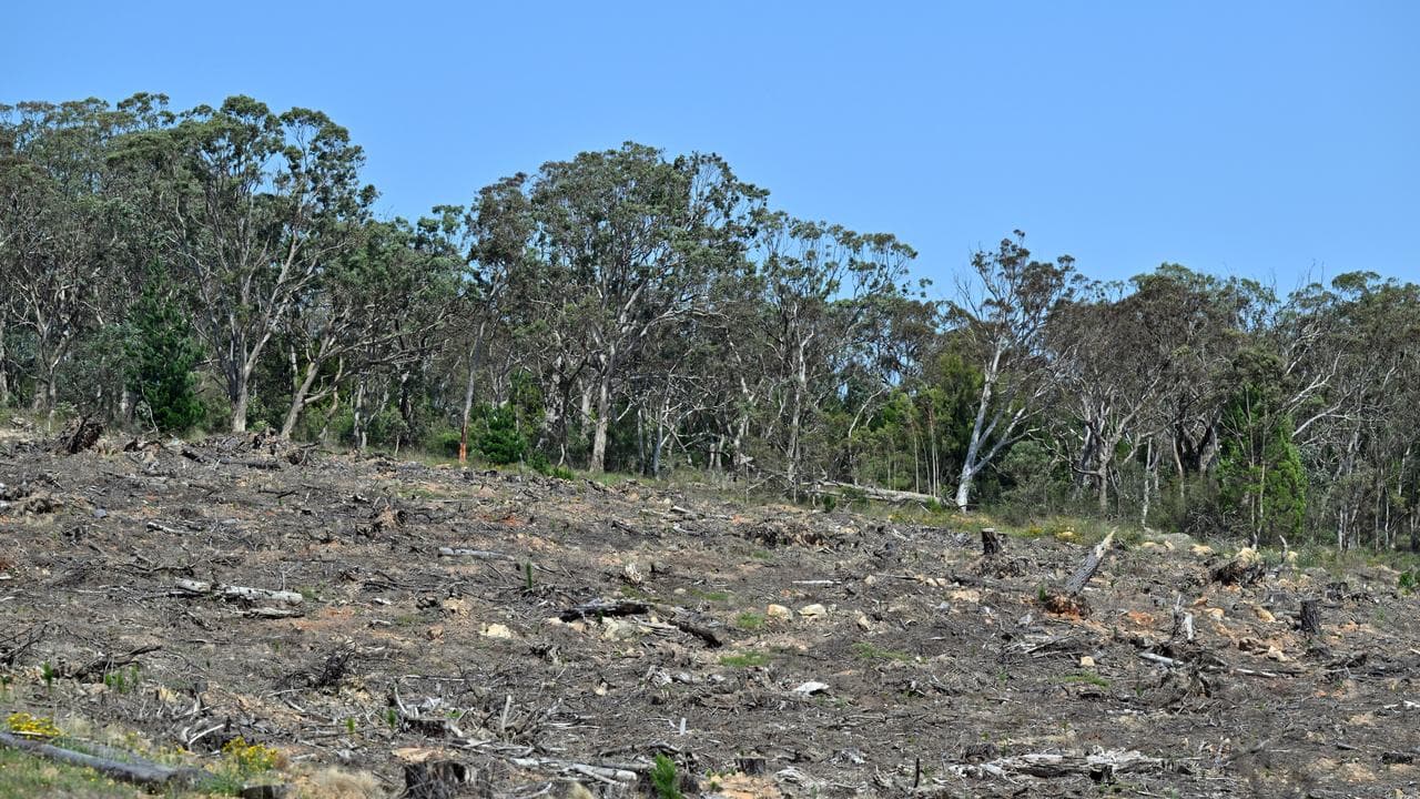 Land clearing (file image)