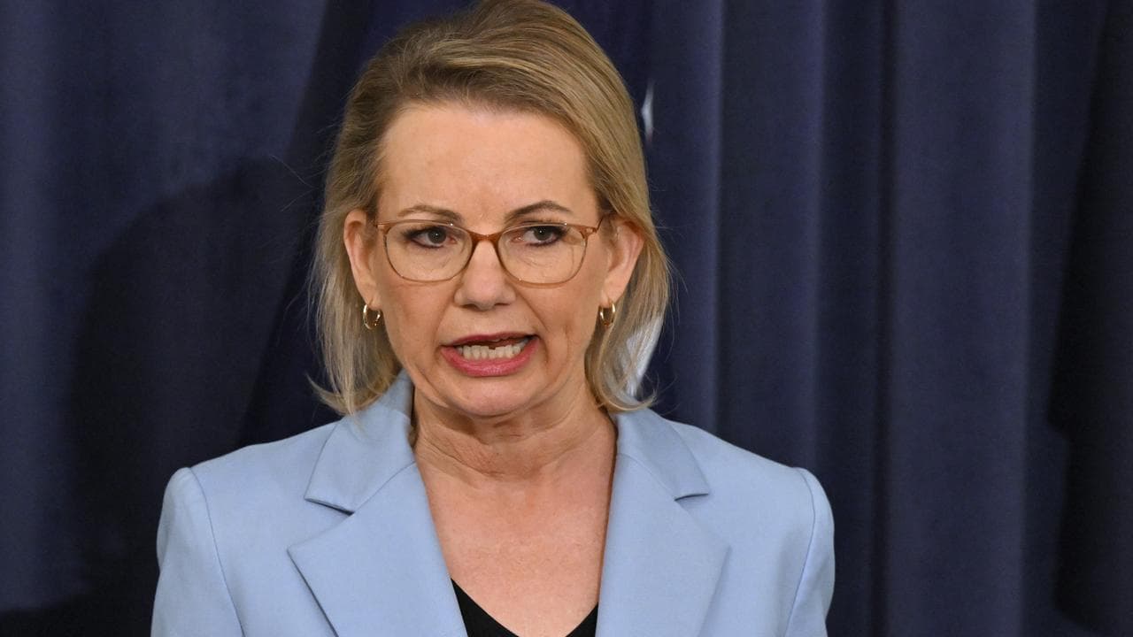 Leader of the Opposition Sussan Ley