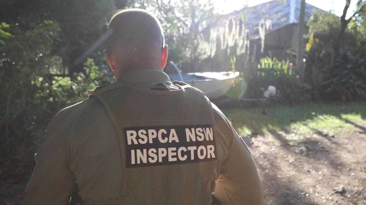 RSPCA inspector (file)