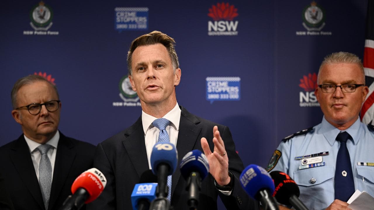 NSW Premier Chris Minns