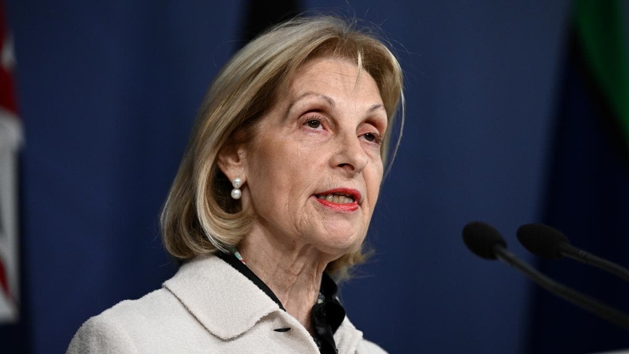 Special Envoy to Combat Antisemitism Jillian Segal (file image)