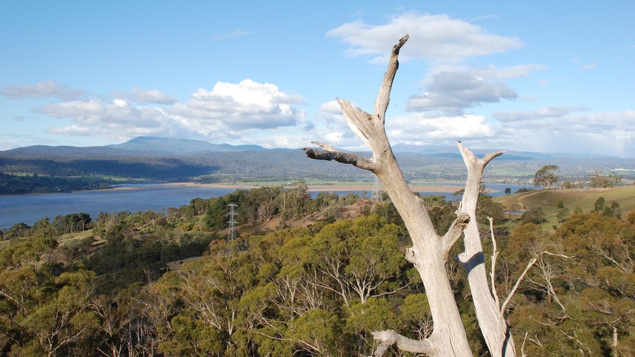 A view of the Tamar River, north of Launceston