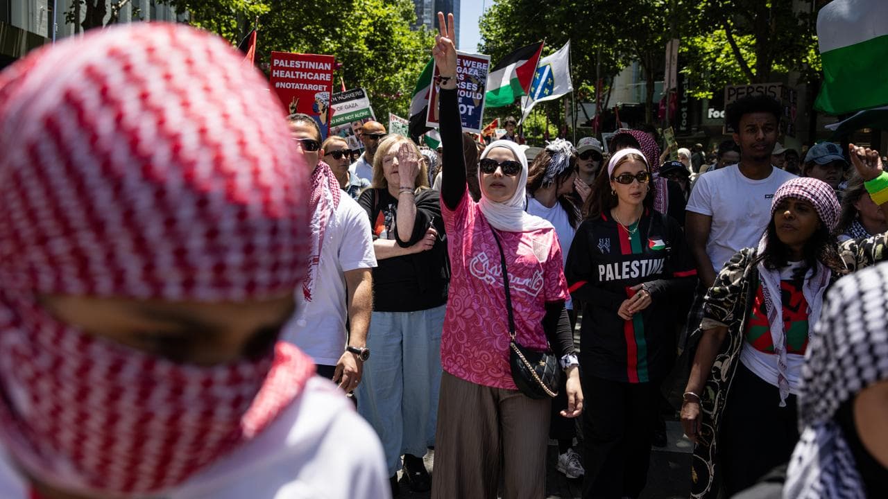 Palestine supporters (file)