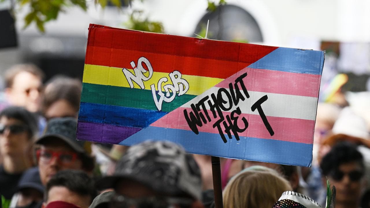 A rally for the Protect Trans Youth National Day of Action