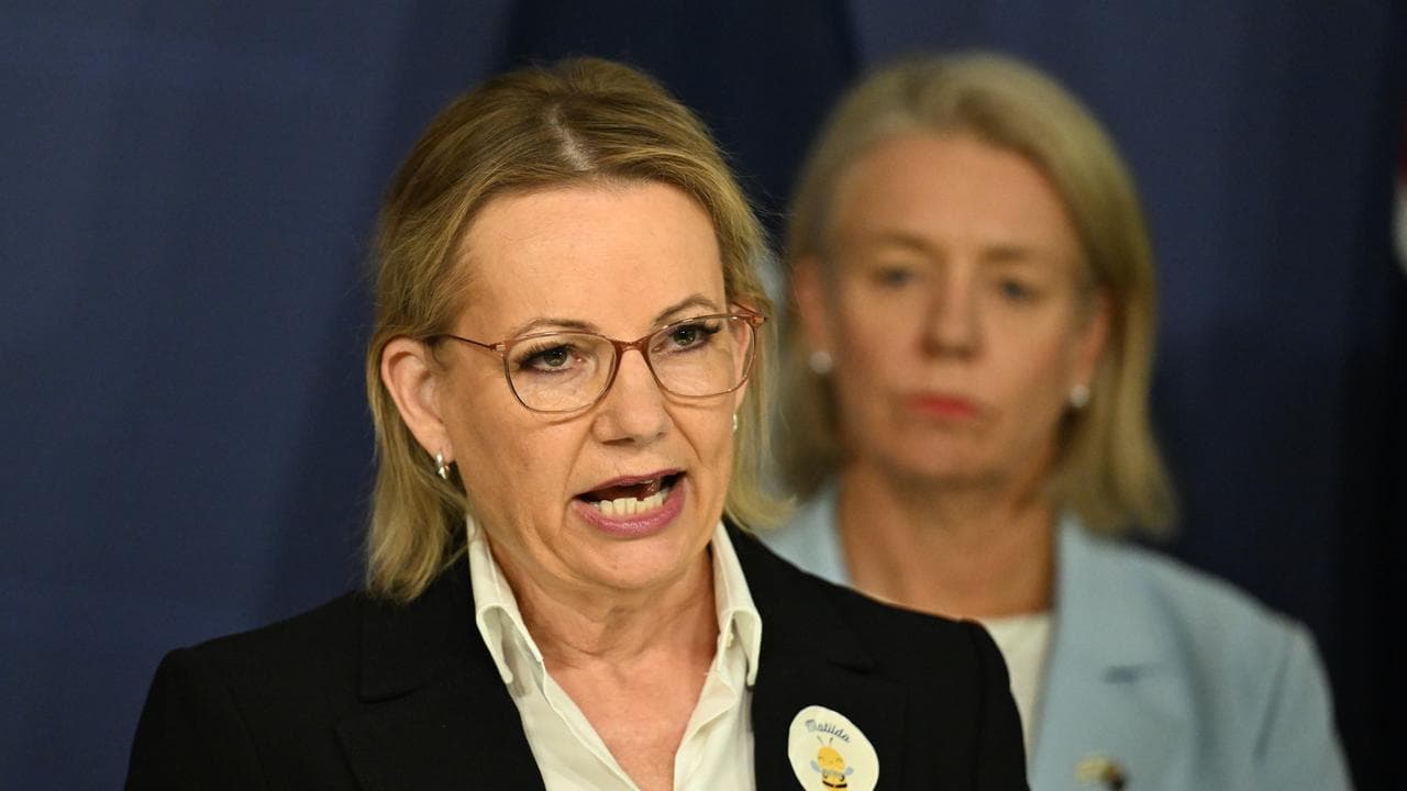 Opposition Leader Sussan Ley