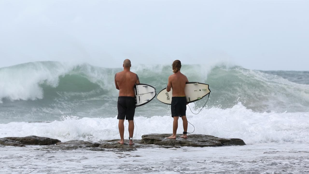 Surfers at Point Cartwright