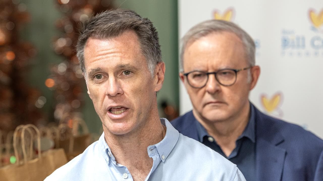 Chris Minns and Anthony Albanese