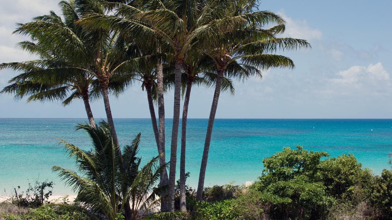 TRAVEL QUEENSLAND LIZARD ISLAND