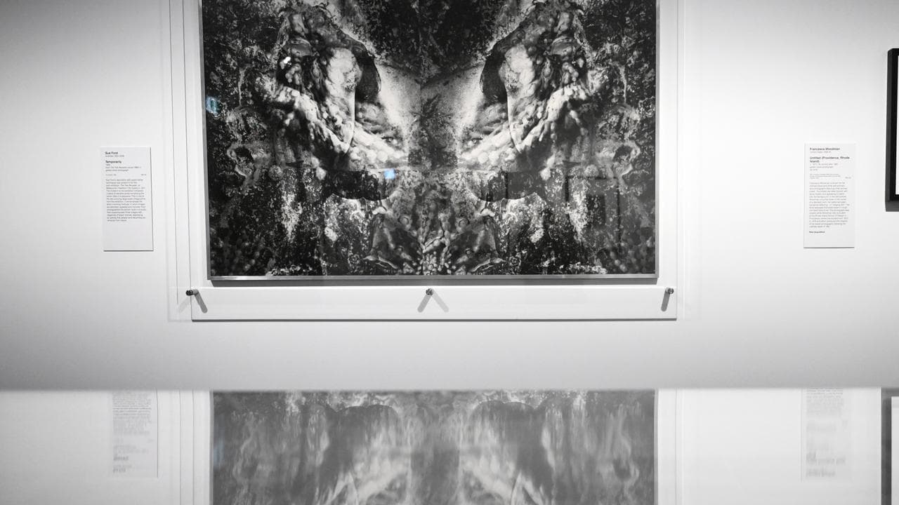 A photomontage by Sue Ford.