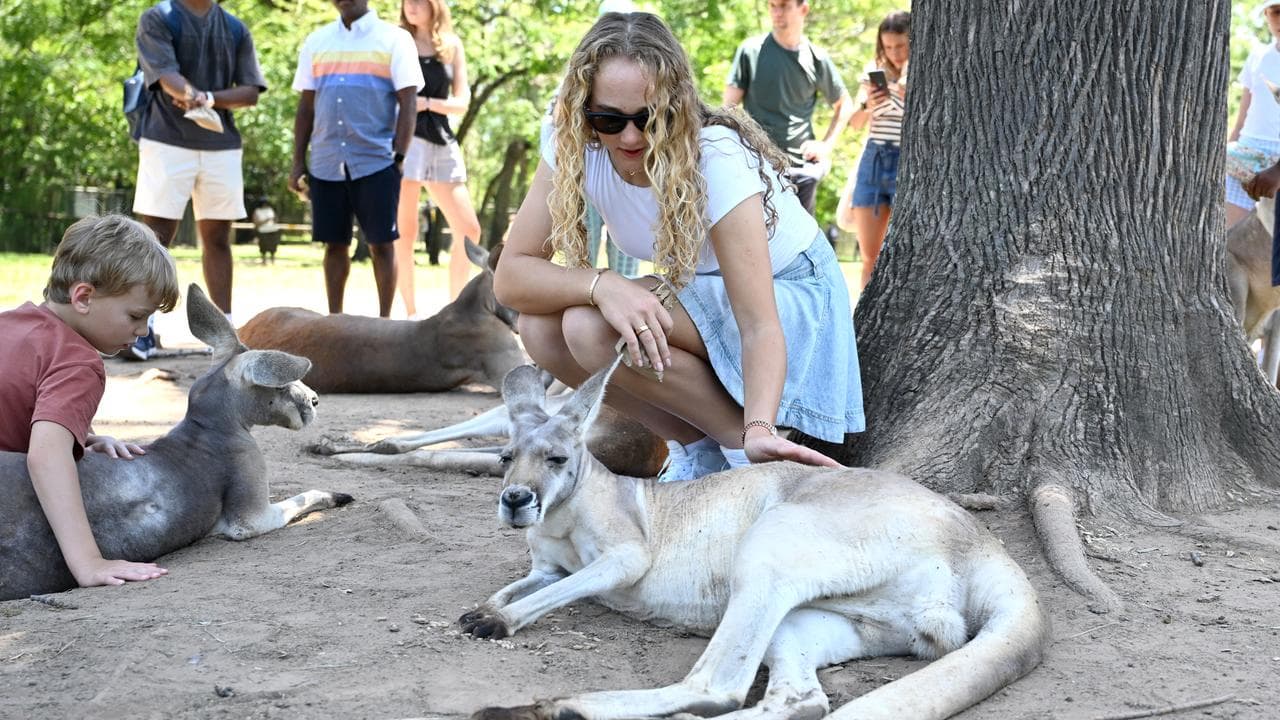 Mirra Andreeva with a Kangaroo at Lone Pine Koala Sanctuary