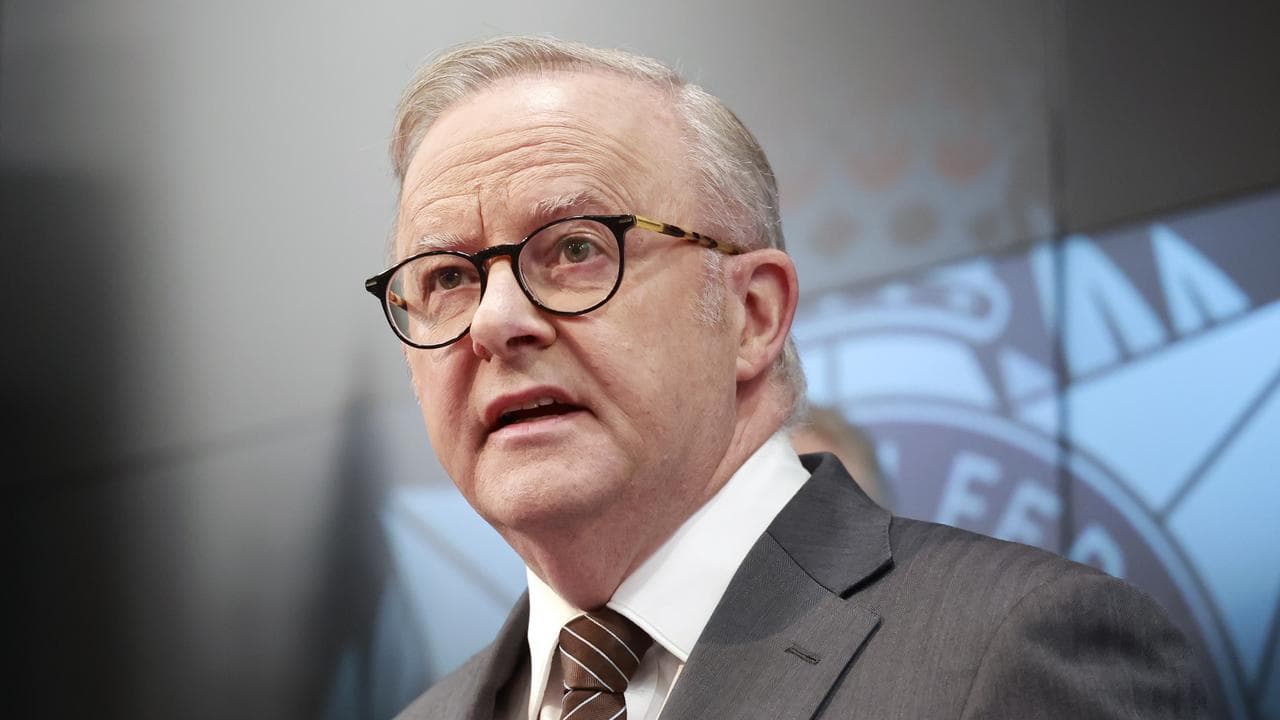 Prime Minister Anthony Albanese