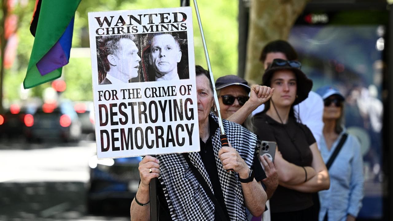 People rally during a pro Palestine demonstration, in Sydney,