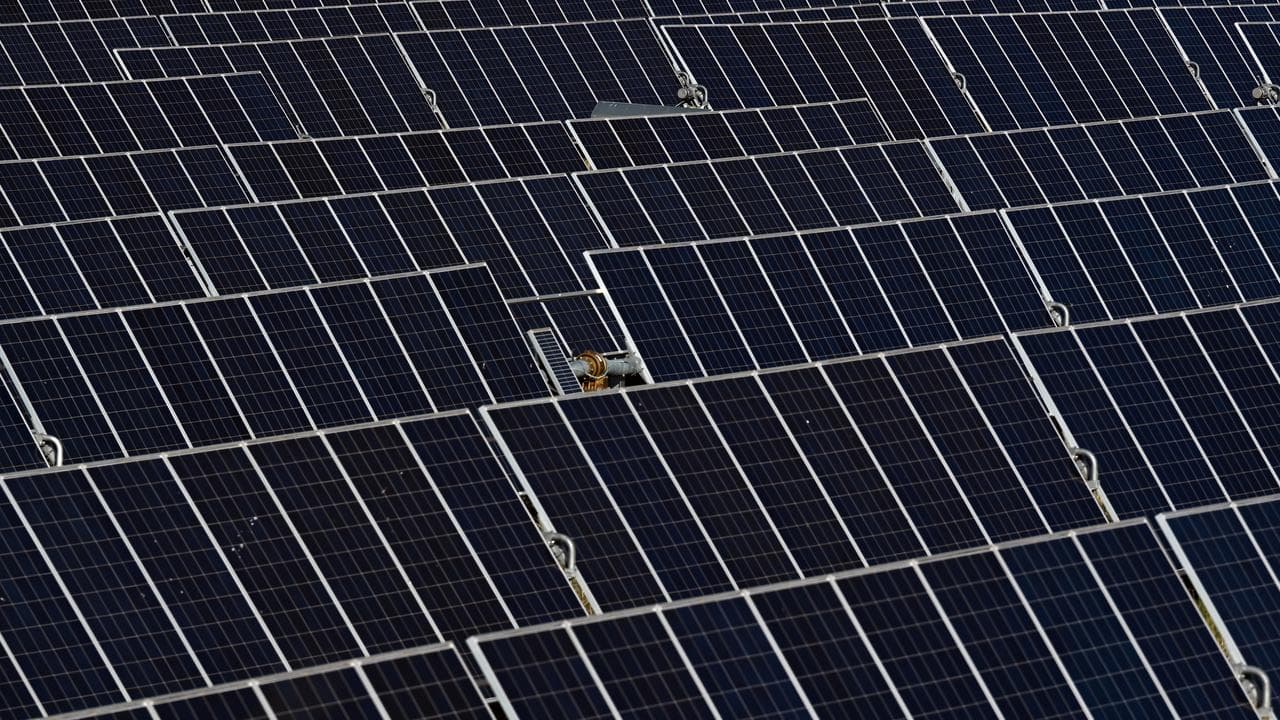 Solar panels at solar farm (file image)