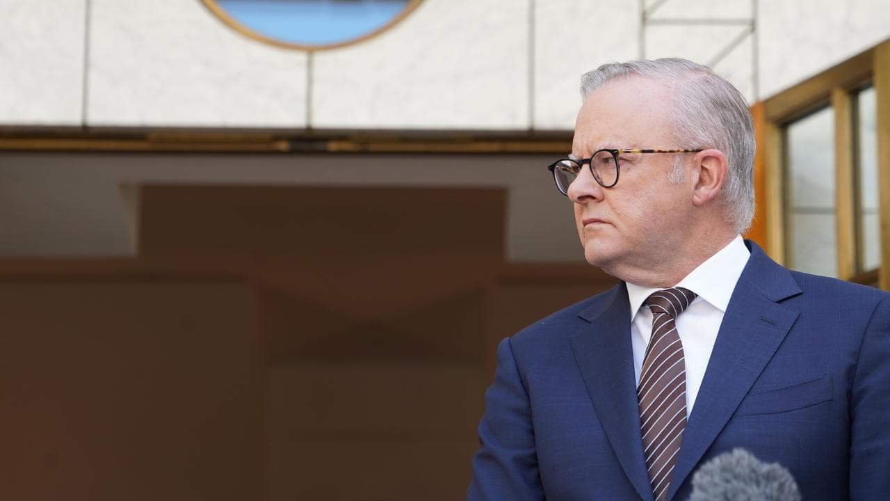Prime Minister Anthony Albanese (file image)