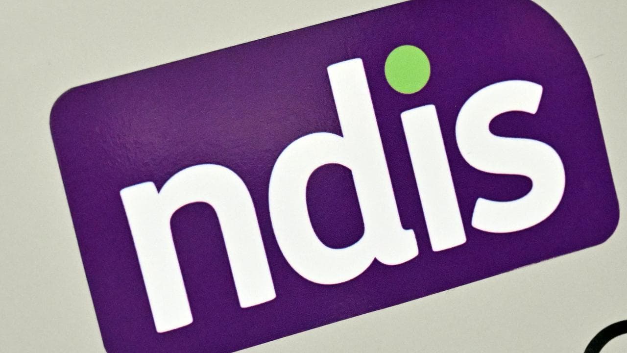 NDIS logo (file)