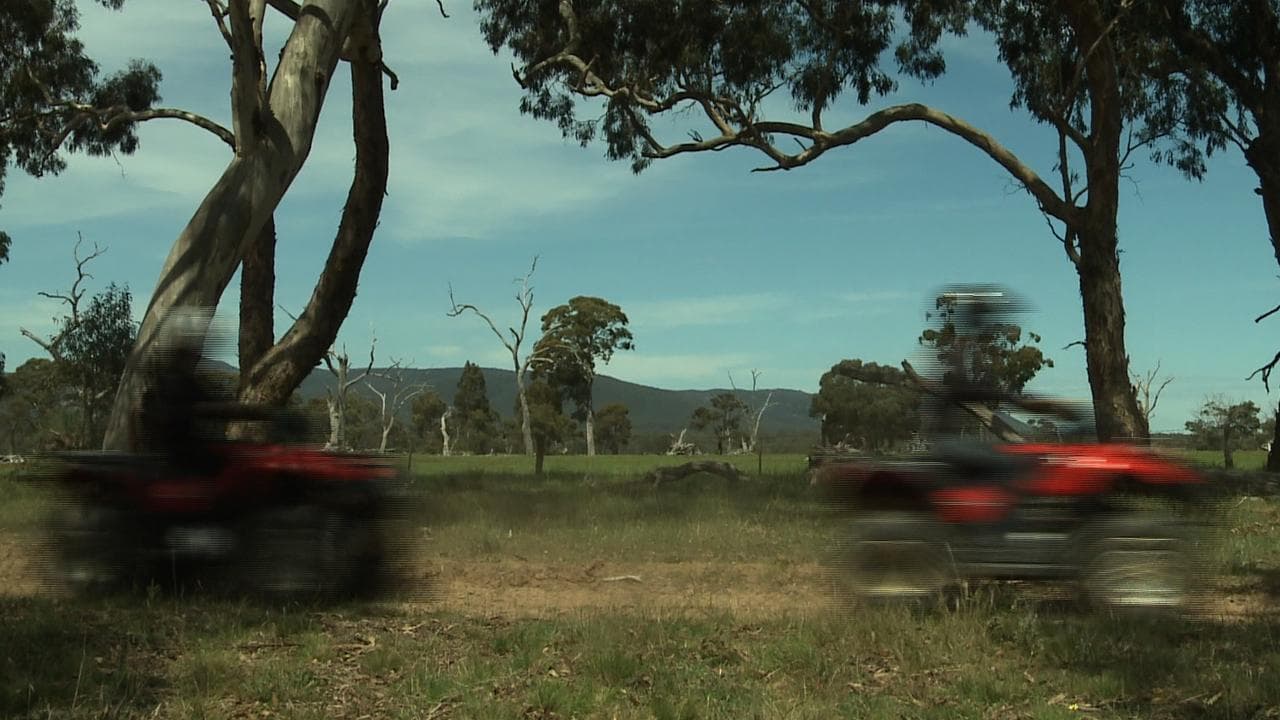 A file photo of quad bikes