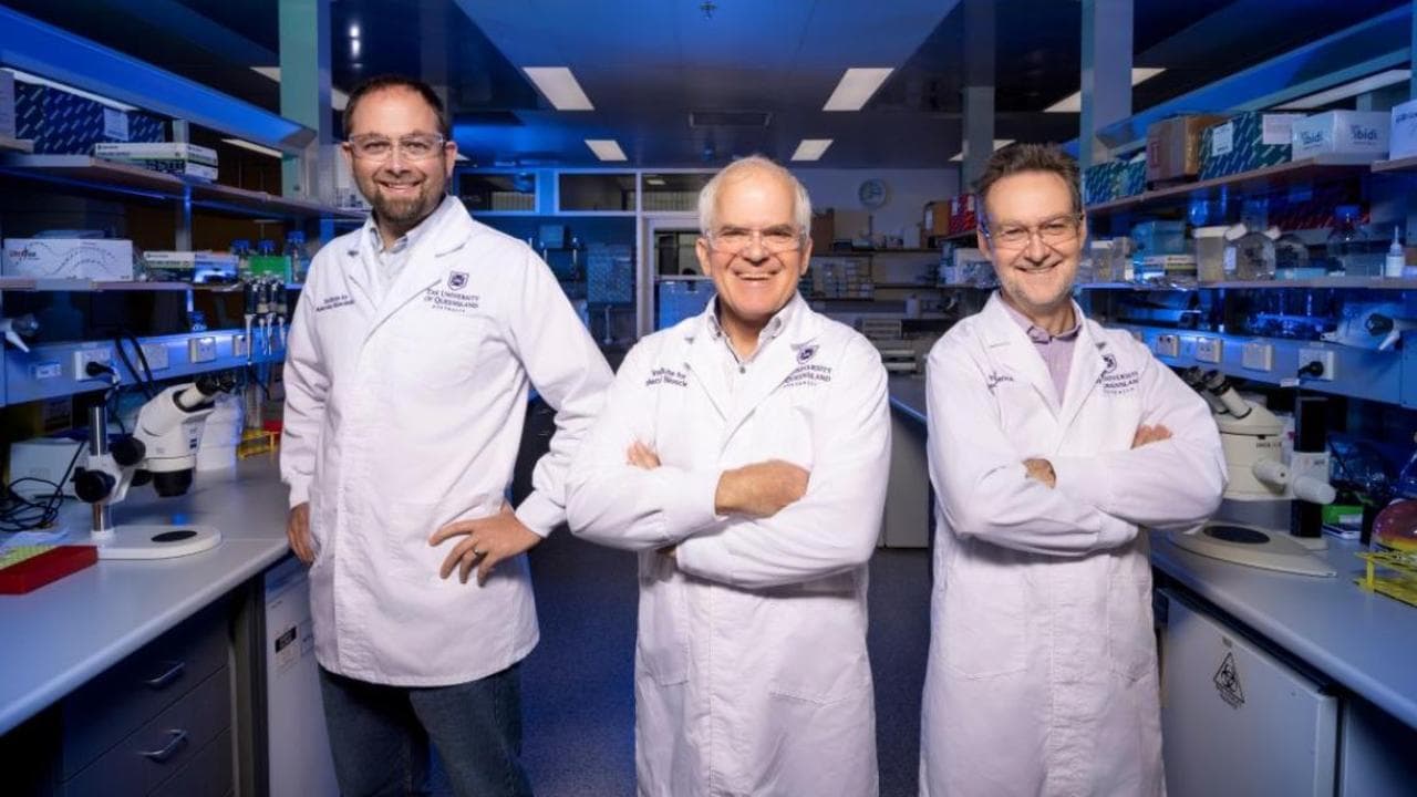 Scientists Nathan Palpant, Mark Smythe and Glenn King