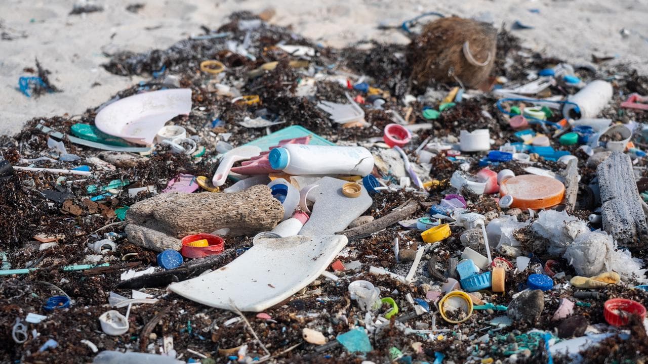 Plastic debris and ghost nets littering the beach