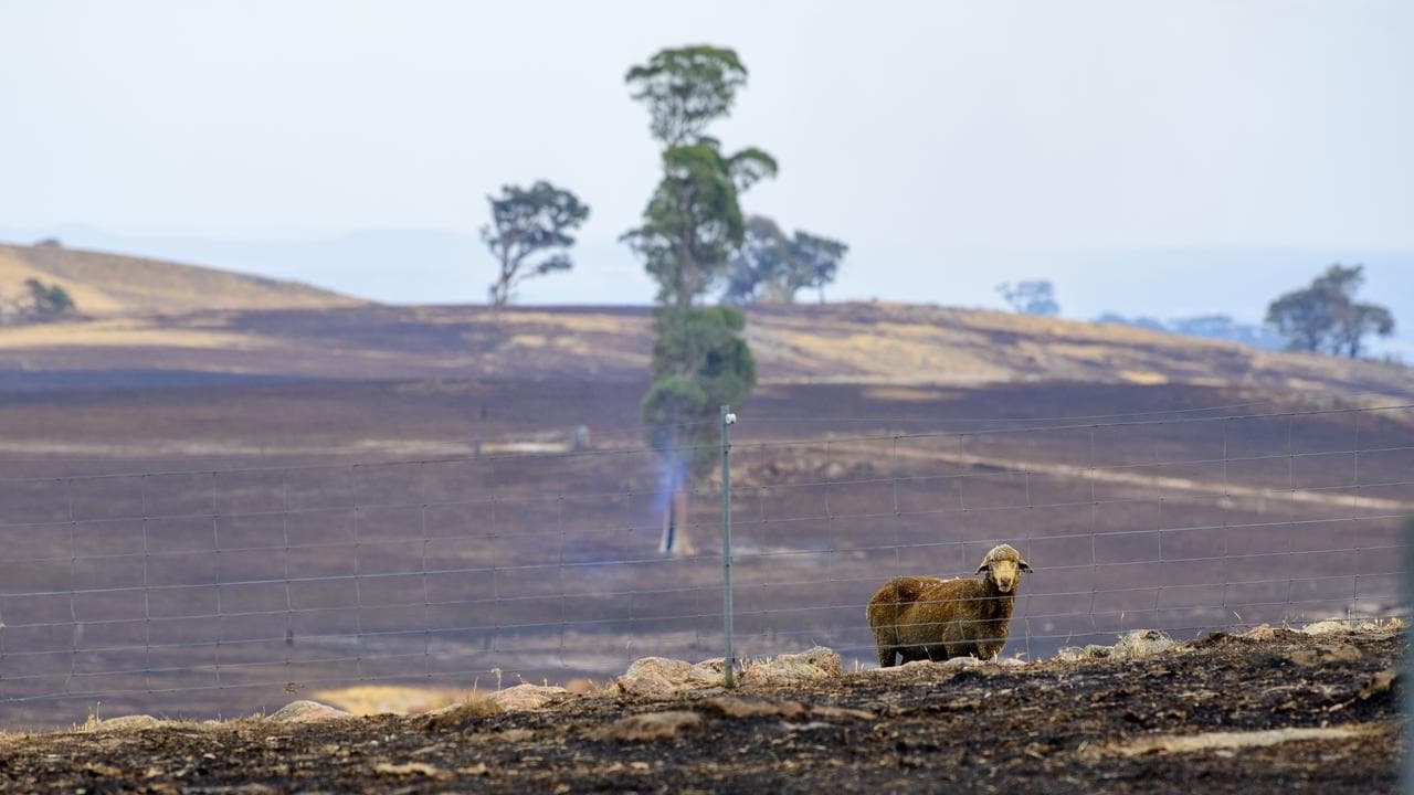 Upton Hill, Victoria