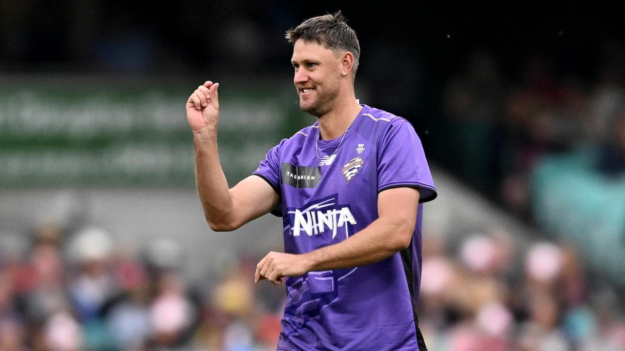 Hobart Hurricanes star Beau Webster