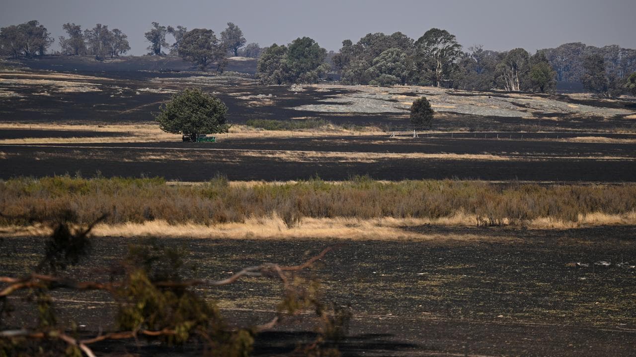 Burnt out farm land in Ruffy, Victoria
