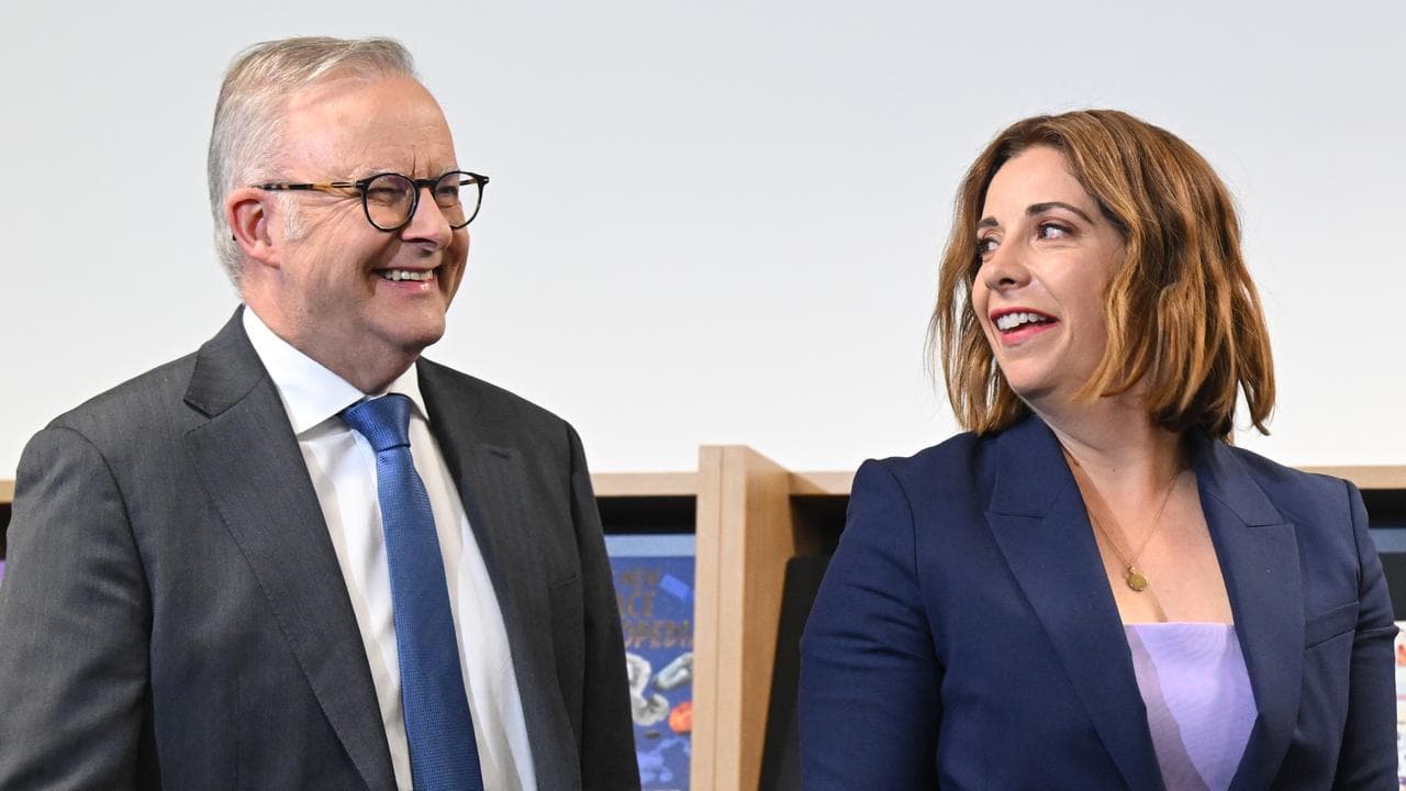 Anthony Albanese and Anika Wells (file image)
