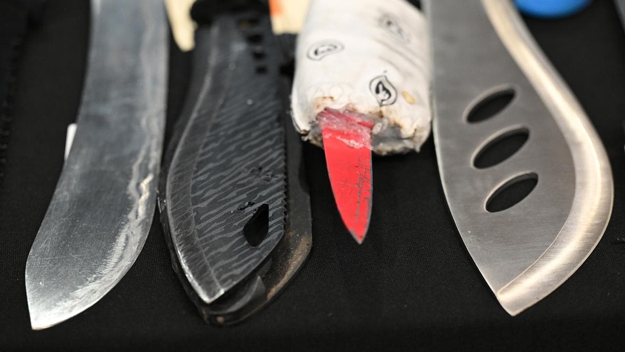 Knives and machetes (file image)