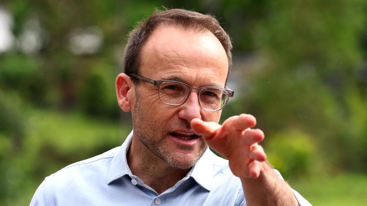 Adam Bandt (file image)