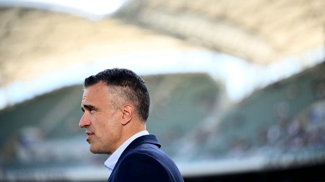 South Australian Premier Peter Malinauskas