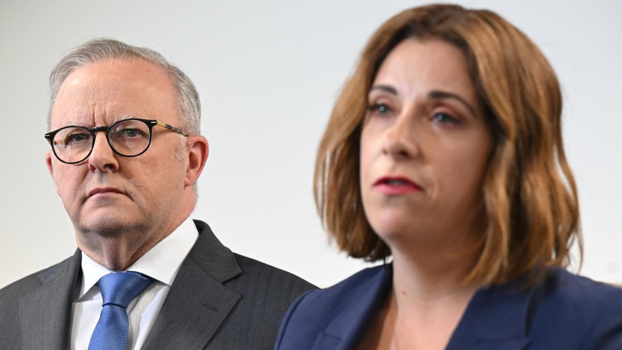 Anthony Albanese and Anika Wells (file)
