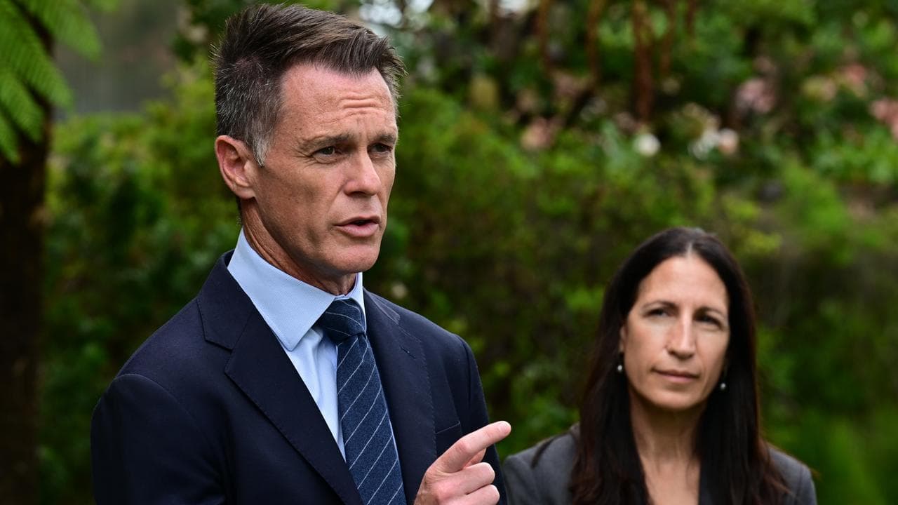 Chris Minns and Michele Goldman