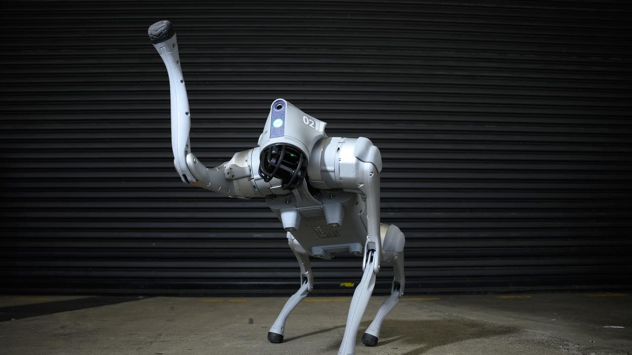 Go2 robot dog