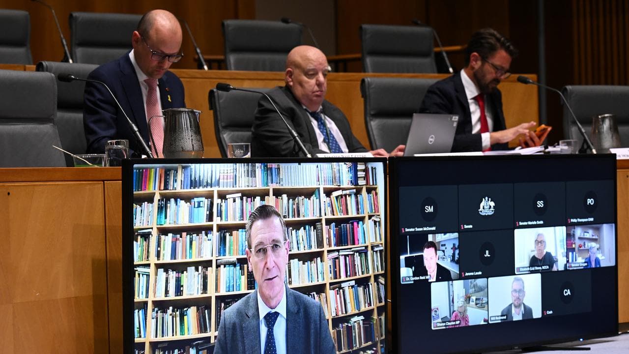 Anglican Bishop Michael Stead via videolink at a parliamentary inquiry