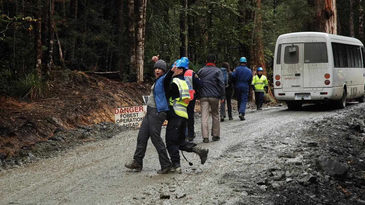 A photo of Tasmanian forestry protesters.