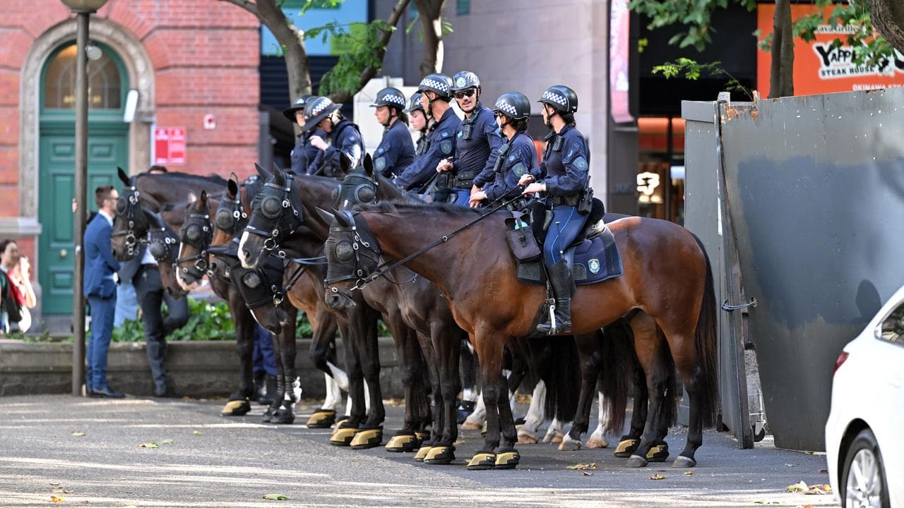 NSW Mounted Police