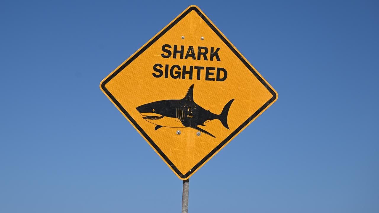 Shark warning sign at the beach